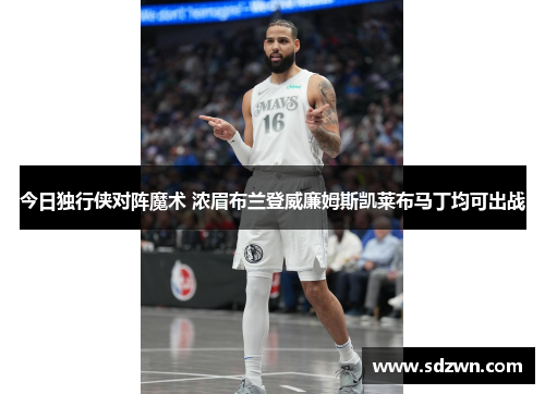 今日独行侠对阵魔术 浓眉布兰登威廉姆斯凯莱布马丁均可出战