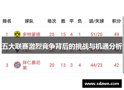 五大联赛激烈竞争背后的挑战与机遇分析