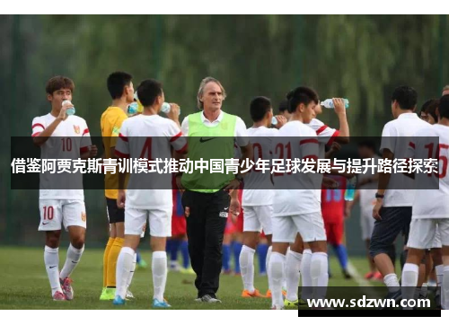 借鉴阿贾克斯青训模式推动中国青少年足球发展与提升路径探索