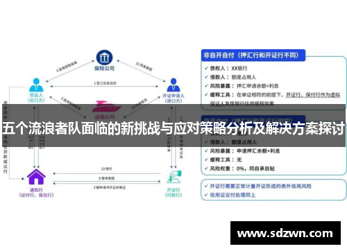 五个流浪者队面临的新挑战与应对策略分析及解决方案探讨