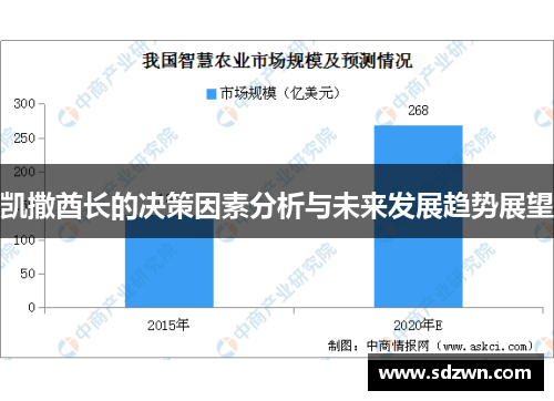 凯撒酋长的决策因素分析与未来发展趋势展望