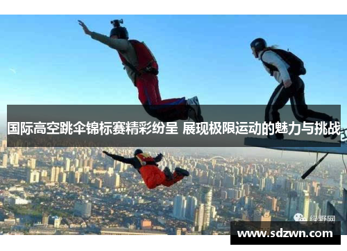 国际高空跳伞锦标赛精彩纷呈 展现极限运动的魅力与挑战