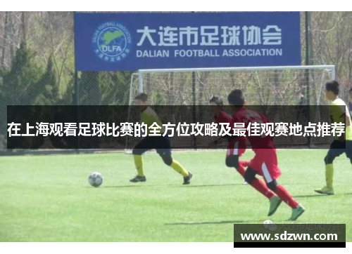 在上海观看足球比赛的全方位攻略及最佳观赛地点推荐