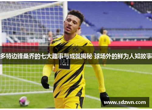 多特边锋桑乔的七大趣事与成就揭秘 球场外的鲜为人知故事
