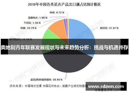 奥地利青年联赛发展现状与未来趋势分析：挑战与机遇并存