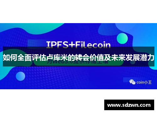 如何全面评估卢库米的转会价值及未来发展潜力 如何全面评估卢库米的转会价值及未来发展潜力
